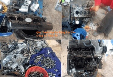 dại tu dộng cơ