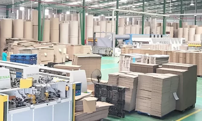 Xe nâng điện cho xưởng bao bì carton và kho thành phẩm – Cách chọn đúng để tránh hư hỏng và lãng phí 1 Đặc thù xưởng bao bì carton và kho thành phẩm nhìn từ góc độ nâng hạ