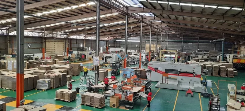 Xe nâng điện cho xưởng bao bì carton & kho thành phẩm